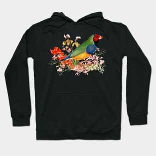 Red Head Gouldian Finch Standing Among Orchid Blossoms Hoodie